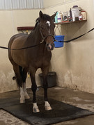 8CD9BDA0-656D-418E-9501-A6D2703E277D