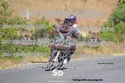 IMG-3068