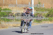 IMG-2631