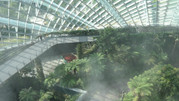 Cloud Forest 29