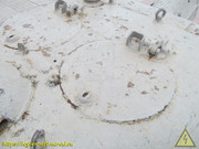 IMG-9761