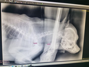 Узи патеро клиник как найти. Кабинет 407 рентген. Рентген кабинет в детской поликлинике. Оснащение рентген кабинета. Рентген уфа адреса.