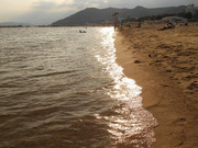 photo 3 2026 01 16 21 58 24