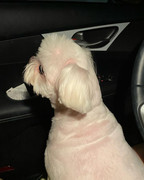 100991278_3128873593841556_766615561284952367_n