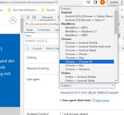 _h User Agent    Custom    Chrome OS