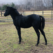 C2E4BB1A-D48B-44C2-88C4-6C56EDC6E5DB