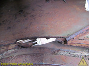 IMG-6411