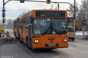 IMG-7096