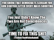 Dems Scream Gun Control