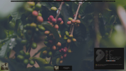 Screenshot-2025-06-29-13-57-03.png