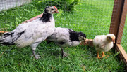 IMG-20230621-123033