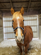 183D4483-EFDD-4F34-91F2-7335B089EC3D