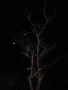 61.3.ghosts of autumn III