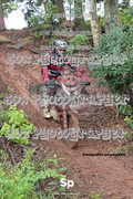 IMG-0323