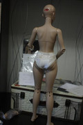 IMG-8017