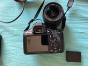 272055210_7136999619704335_2184450715203384632_n