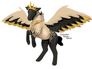 Untitled326_20241222091211