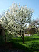 [Image: 92b679f3c7fd.jpg]