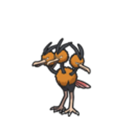 dodrio