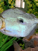 82E57854-C6C5-4057-922B-B1C58D2137B4