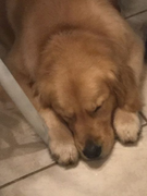 image_2023-02-02_230218580