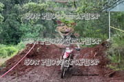 IMG-6615