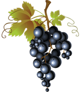 TADD_elements_Shimmer_Fall_11