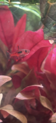3D8B26AC-0462-44C5-8269-14B97322F1E5