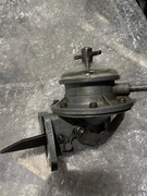 IMG-6047.jpg
