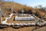 IMG-0289