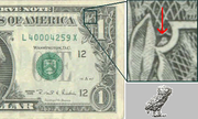 Owl on 1dollar bill