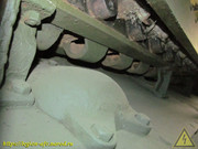 IMG-8683