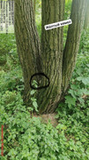 IMG-0151