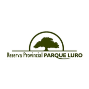 Logo 17