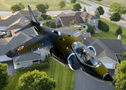 [Image: 694888harrieraff.jpg]