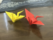 IMG-3049