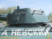IMG-5304
