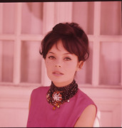 pascale-petit-c28