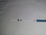IMG-20221215-054901