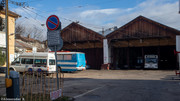 IMG-5359