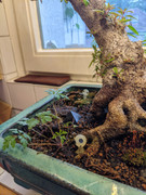 PXL_20240517_182913484