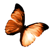 TADD_elements_Shimmer_Fall_73