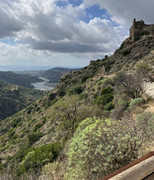 IMG-1841