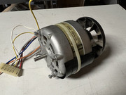 [Bild: Foto-25-07-24-10-03-33.jpg]