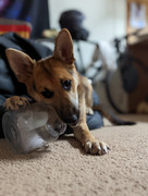 PXL_20221025_023617871.PORTRAIT