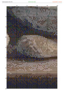 2882112-crosti-ru-color-38