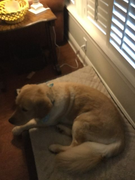 image_2023-02-02_230442264