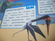https://i.postimg.cc/K42qq7jn/100-8092.jpg