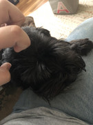 6DAC456C-96F4-4726-AF24-7BA58050F89F