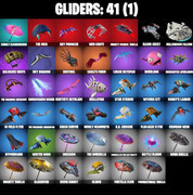 gliders-comp